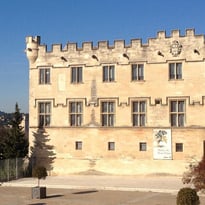Musée du Petit Palais Avignon