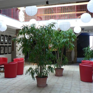 Maison des jeunes et de la culture de Cavaillon
