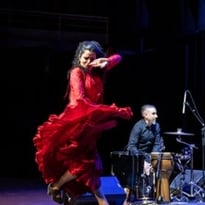 Ana Crismán — Arpa flamenca