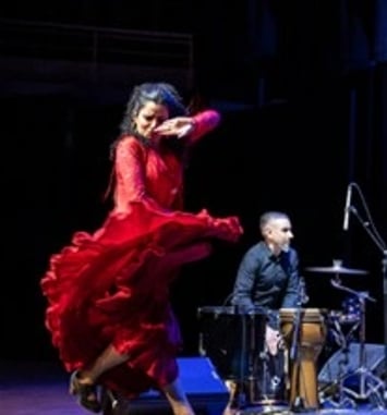 Ana Crismán — Arpa flamenca
