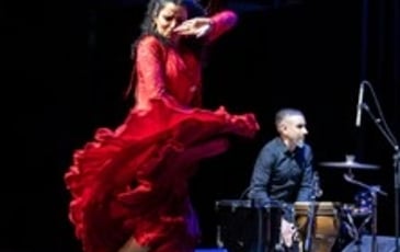Ana Crismán — Arpa flamenca