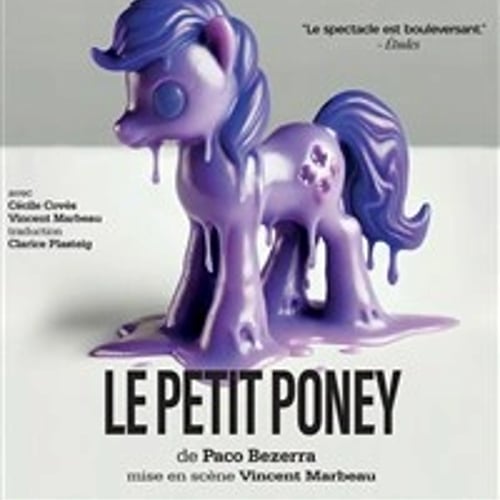 Le petit poney 1