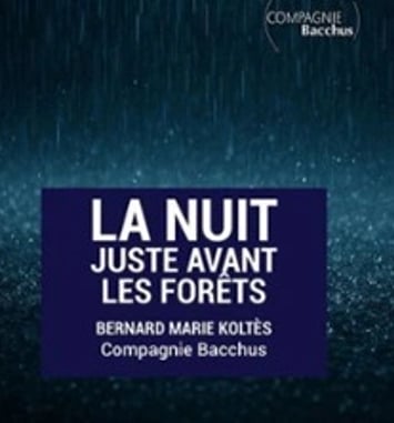 La Nuit Juste Avant Les Forêts