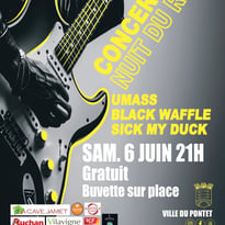 Nuit du Rock
