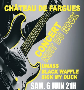 Nuit du Rock