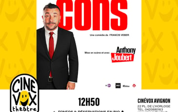 Le Dîner de Cons