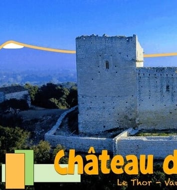 Château de Thouzon