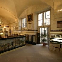 Rue Saluces avant les archives : le Mont-de-Piété, conférences flash dans le musée