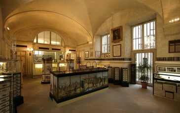 Rue Saluces avant les archives : le Mont-de-Piété, conférences flash dans le musée