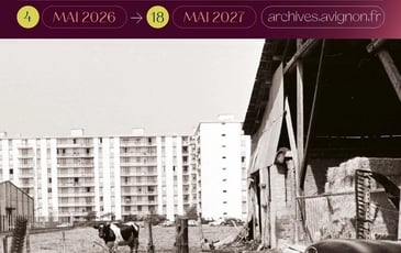 Découverte de l'exposition temporaire « Contrastes : Avignon à deux siècles de photographies »