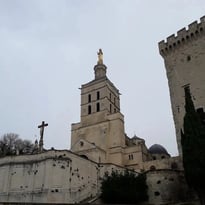 Visite de la Basilique Métropolitaine Notre-Dame-des-Doms