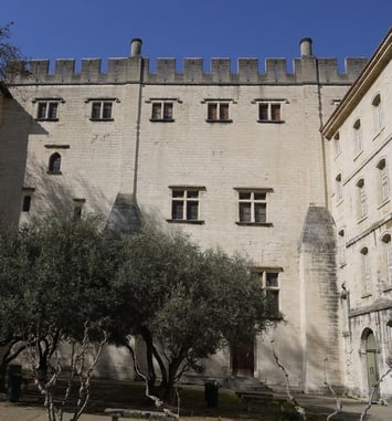 Défi autour du Patrimoine à la Bibliothèque Ceccano