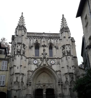Visite de la Basilique Saint-Pierre