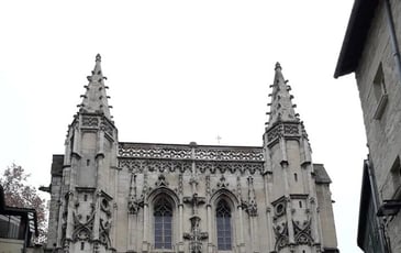 Visite de la Basilique Saint-Pierre