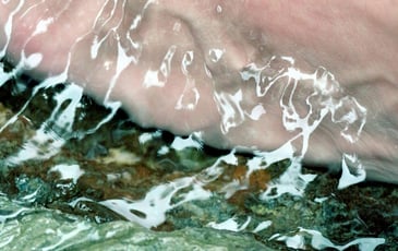 Être eaux