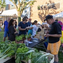 Marché des producteur·rices et gros pique-nique !