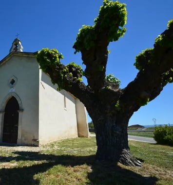 Visite guidée de l'Eglise St Marc