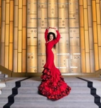 Noche de Arte Flamenco