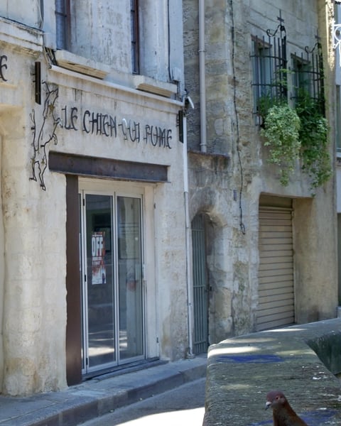 Théâtre du chien qui fume