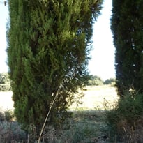 Balade "Clic-clac" du sentier du temps