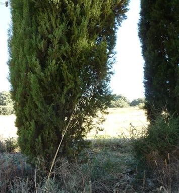 Balade "Clic-clac" du sentier du temps