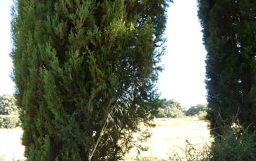 Balade "Clic-clac" du sentier du temps
