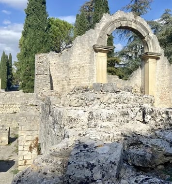 Visite thématique, “Patrimoine archéologique à ciel ouvert : les défis de la conservation”