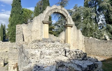 Visite thématique, “Patrimoine archéologique à ciel ouvert : les défis de la conservation”
