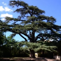 Exposition photo en libre accès au Château Verdet-Kleber
