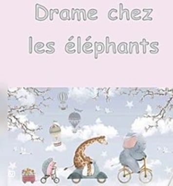 Drame chez les éléphants