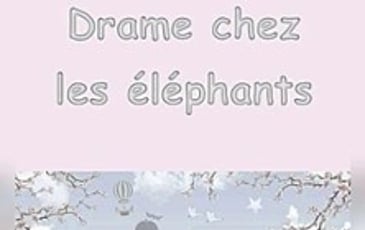 Drame chez les éléphants
