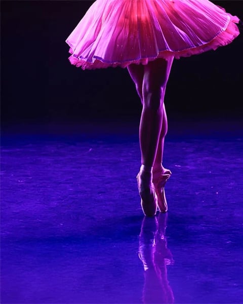 Ballet of Lights : La Belle au bois dormant dans un spectacle étincelant