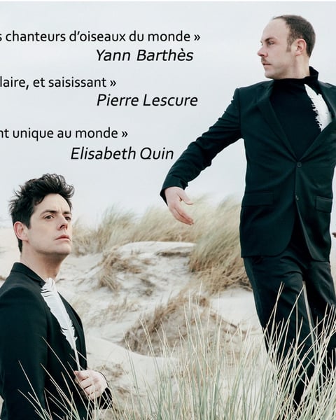 Les Chanteurs d'oiseaux, L'oiseau et le musicien