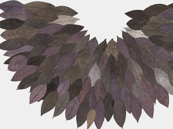 Exposition "Mémoire de feuilles" - prolongation
