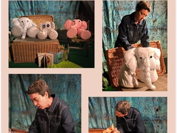 Drame chez les éléphants